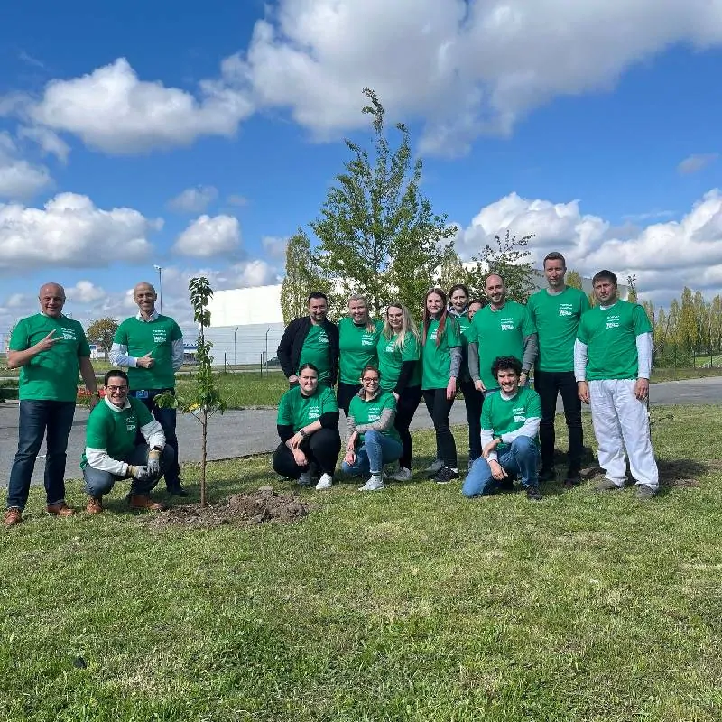 Sázení stromů - skupina