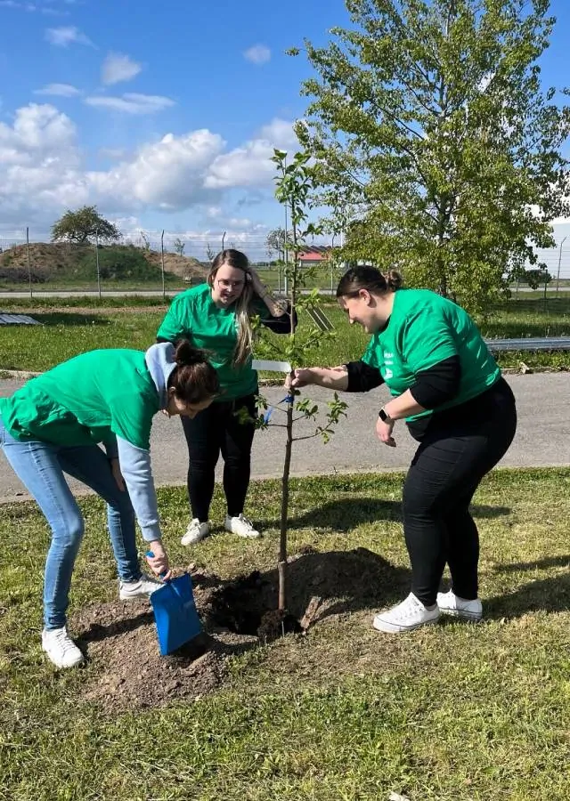 Ženy zasazují strom