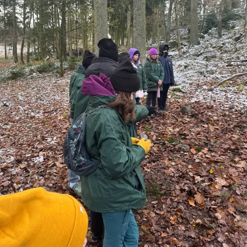 V zimní přírodě 2